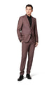 Suit Allan/Apollo